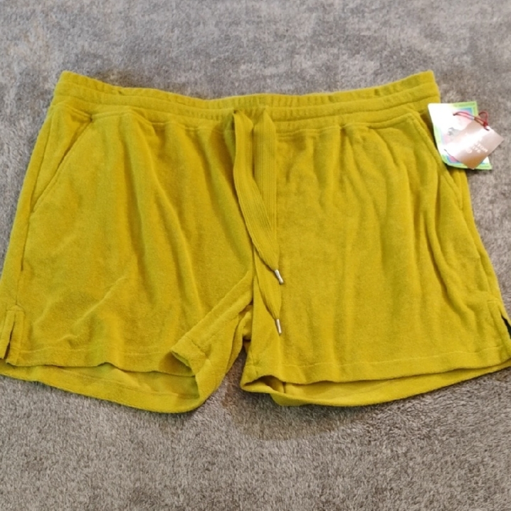 Houston White X Target NWT Velour Shorts